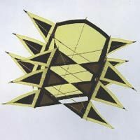 Image for Winged Box