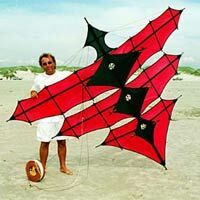 Image for Winged Cody