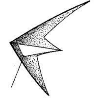 Image for Zwaluw delta