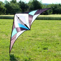 Image for the Freestyle Kites category