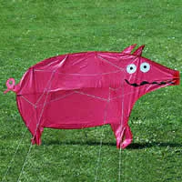 Image for the tag animal