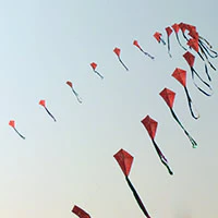 Image for the tag arch