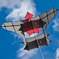 Image for the tag cody