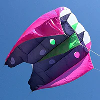 Image for the tag flowform