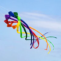 Image for the tag ornament