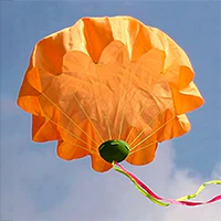 Image for the tag parachute