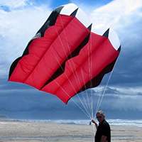 Image for the tag pilot