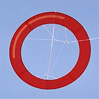 Image for the tag ring