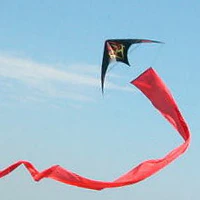 Image for the tag tail