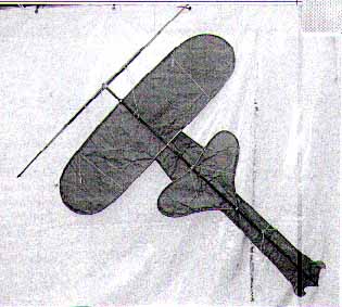 photo d'un cerf-volant cambodgien