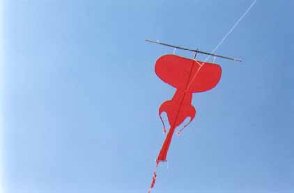 photo d'un cerf-volant cambodgien