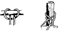 noeud_tete_alouette2.gif (5745 octets)