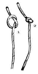 noeudsimple.jpg (2953 octets)