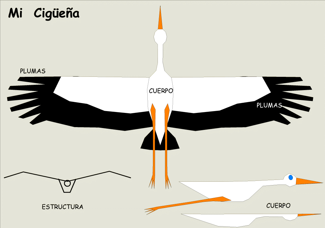 CIGÜEÑA