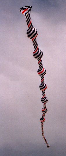 sp2.jpg (18004 byte)