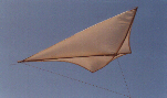 Hargrave box kite