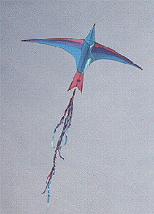 Feuervogel von Hans Snoek