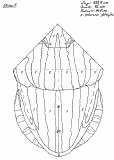 S1.gif (18036 Byte)