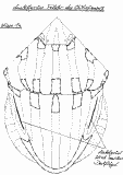 S2.gif (19979 Byte)