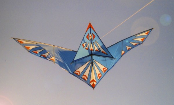 Kanard kite