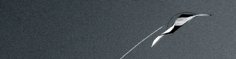 ninja kite the bad in a loop