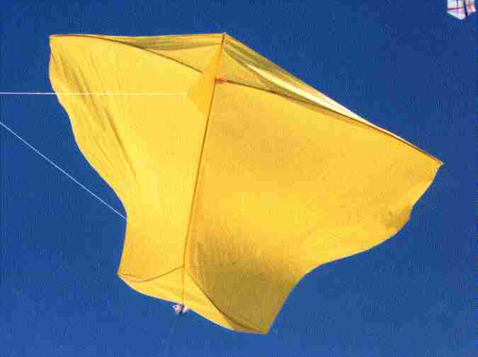 Photo du Poids-Plume de couleur jaune