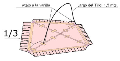 Paso 5