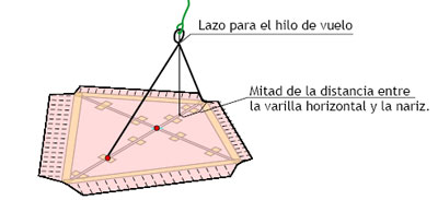 Paso 6