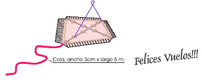 Paso 8