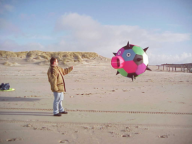spike1.jpg (59586 bytes)