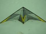 Skysurfer