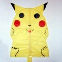 Pokemon Kite