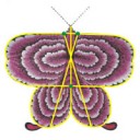 Mariposa China