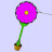 Columbian Flower