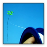 Single line Kites